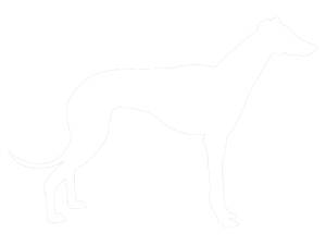 Greyhound racing