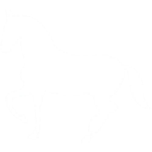 Horse racing
